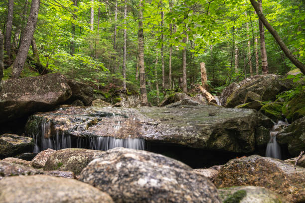 Push in shot  of water flowing in a river. The shot features rocks, tress, and greenery. Location New Hampshire.