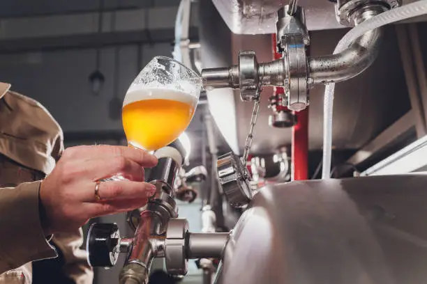 Photo of brewer man and apron pours beer in a glass for quality control, standing behind the counter in a brewery.