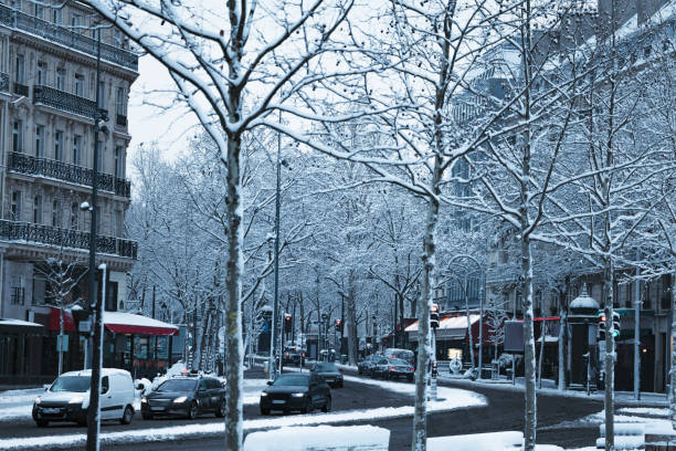 istock Paris street, trees covered with snow during day 1210442166