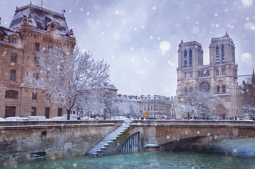 Flooded seine river near Notre Dame de Parisa covered with snow after snowfall