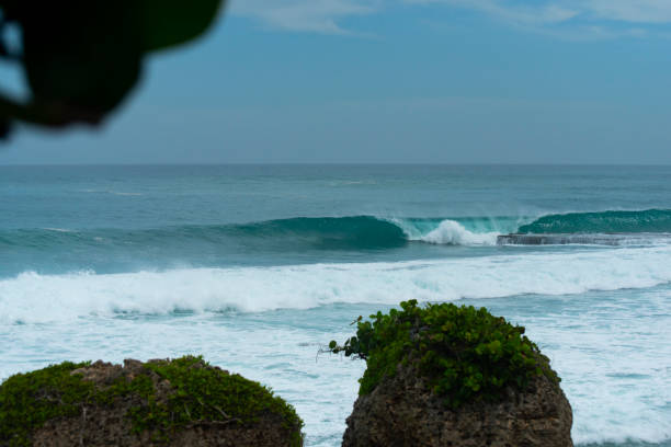 istock Backdoor wave, Aguadilla, Puerto Rico 1210442964