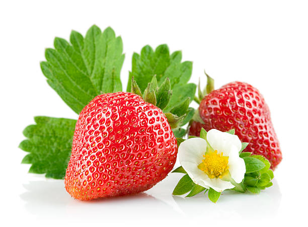 istock strawberry berry with green leaf and flower 121044792