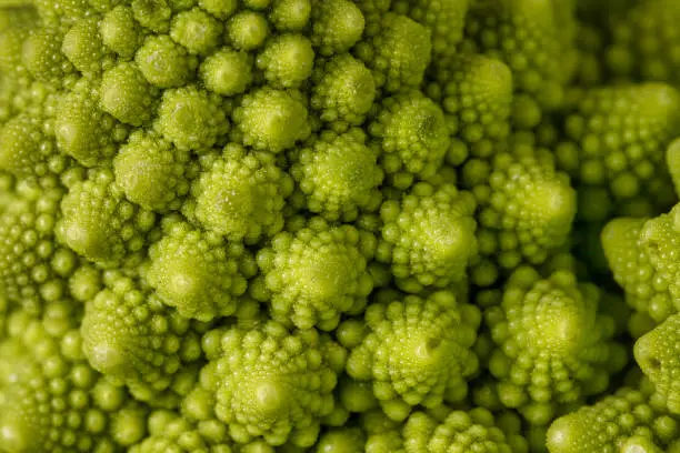 Photo of Broccoflower up close