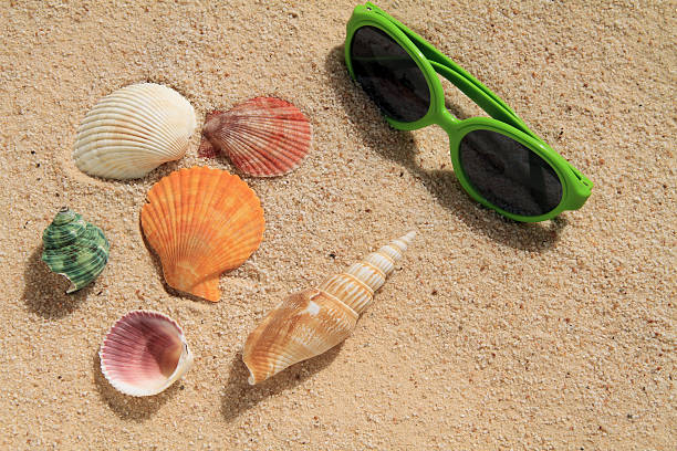 na praia - tinted sunglasses imagens e fotografias de stock