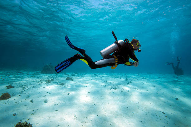 pez de agua superficiales - aleta equipo de buceo fotografías e imágenes de stock