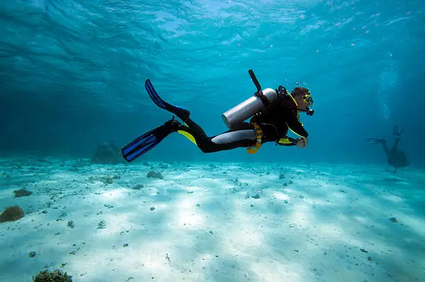 Photo of Diver in shallow water