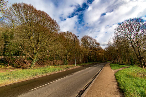 istock Typical English country road on a sunny day 1210452547