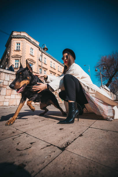 istock Doberman dog and a girl are playing 1210453169