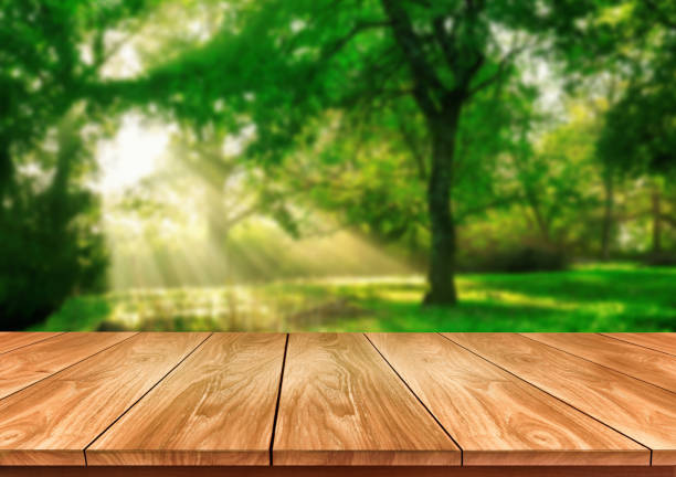 istock Brown wood table in green blur nature background. 1210454561
