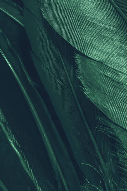 Green neon bird feathers close-up. Abstract trendy texture background. Vertical frame