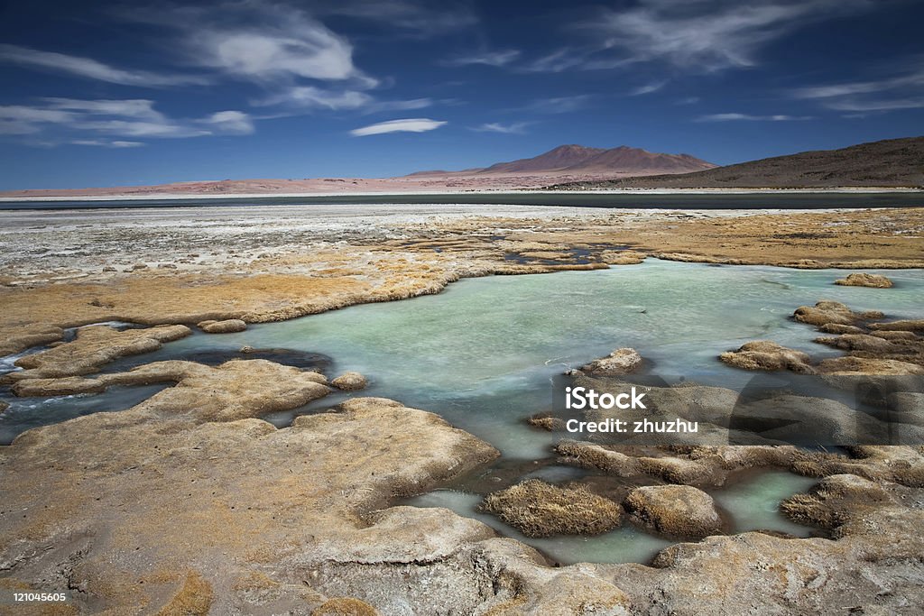 Sel Lac Salar de Tara, Los Flamencos réserve nationale, Chili - Photo de Altiplano libre de droits