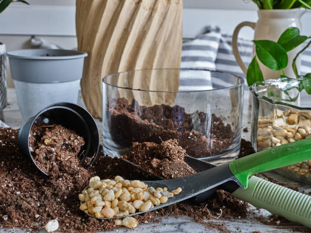 istock Small potting stones and fresh potting soil on a marble table getting ready for spring plantings 1210456467