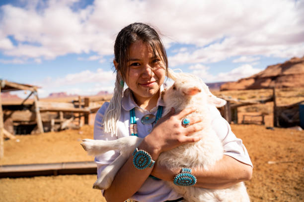 nahaufnahme einer jungen navajo frau hält ein lamm aus der herde - schafpferch stock-fotos und bilder