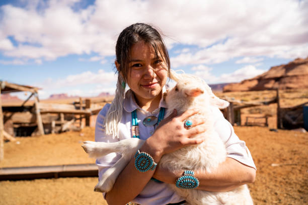 plan rapproché d’une jeune femme navajo retenant un agneau du troupeau - navajo reservation photos et images de collection