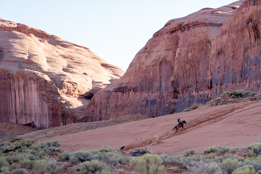 A young Navajo riding her horse up a sand dune on her family's property with her dog following behind