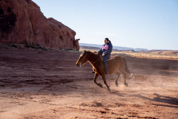 ein junges navajo teenage girl reite ihr pferd schnell als die hunde jagen nach ihr - monument valley navajo mesa monument valley tribal park stock-fotos und bilder