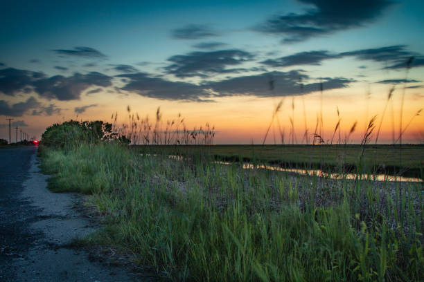 Dawn breaks over the Jersey marshland stock photo