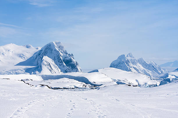 montagna antartico - uncultivated snow ice antarctica foto e immagini stock