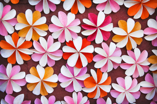 istock Colorful flower paper shaped texture decoratived on wall background 1210466221