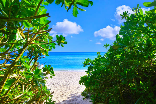 istock Entrance to Boraga Beach 1210466327