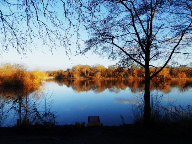 istock lake sunlight water autumn fall river shore scenic landscape 1210466979