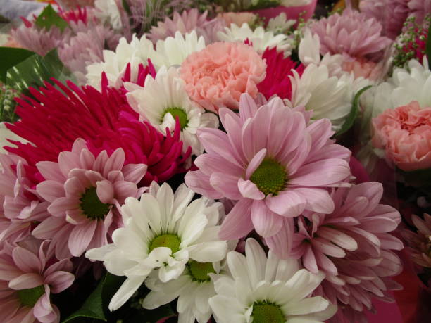 istock Bright Colorful Daisy Flower Bouquets on Display 2020 1210473604