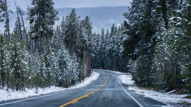 On the road of Yellowstone in winter season. Road inside forest of Yellowstone National Park, Wyoming with pine trees covered by snow in early October. Main roads starting to close soon due to snow problem in winter season. wyoming stock pictures, royalty-free photos & images