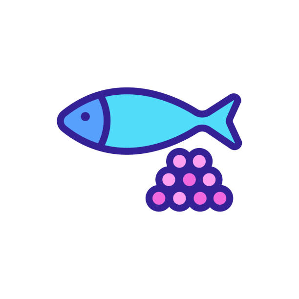 물고기, 캐비어 아이콘 벡터. 격리된 등고선 기호 그림 - caviar stock illustrations