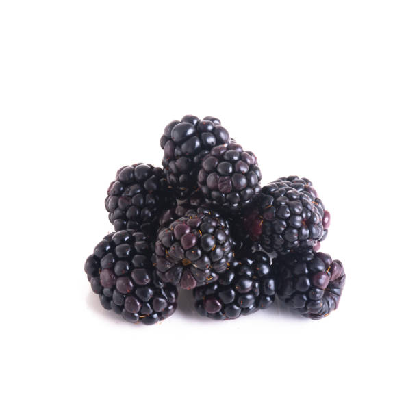 istock blackberry or fresh blackberry on a background 1210485130