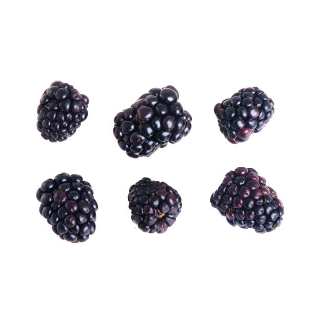 istock blackberry or fresh blackberry on a background 1210485164