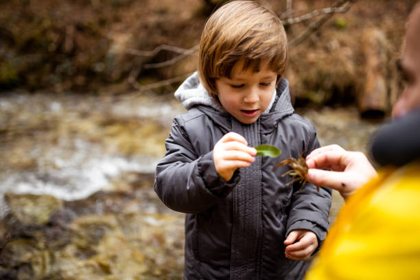 istock Toddler boy discovering nature with his parent 1210485327