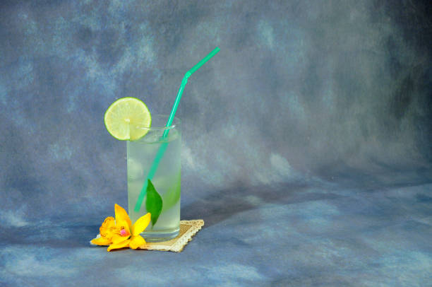 kuvapankkikuvat ja rojaltivapaat kuvat aiheesta korkea lasillinen mojitoa jäällä lautasliinassa, jossa kukkanuppu harmaalla taustalla. - yellow vanilla flower with green leaves