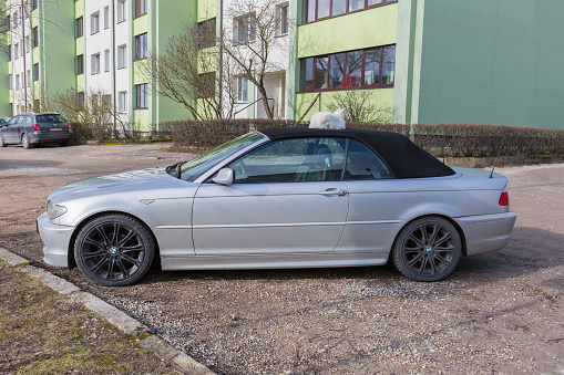 City Cesis, Latvia. Silver BMW cabriolet with cat on the car roof. Travel photo.02.03.2020
