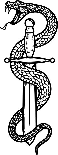 Vintage Design With Snake On Dagger For Poster Banner Emblem Sign Vector  Illustration Stock Illustration - Download Image Now - iStock