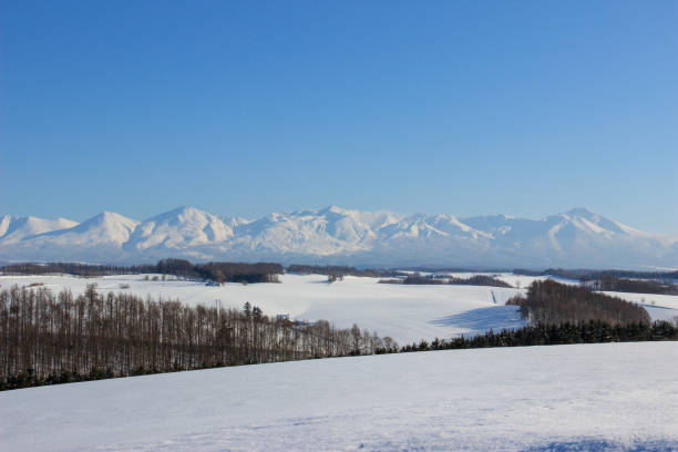 istock Snow mountain and larch forest 1210491270