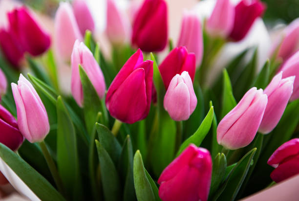 istock Beautiful tulips bouquet 1210491364