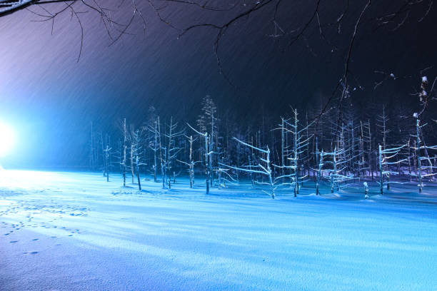 istock Illuminated winter lake in Biei 1210491404