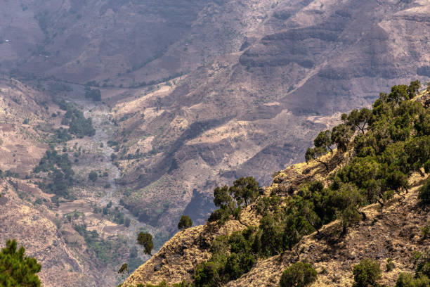 istock Semien or Simien Mountains, Ethiopia, Africa 1210493839