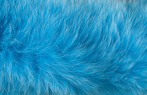 istock Abstract design of artificial blue fur moving in the wind 121049506