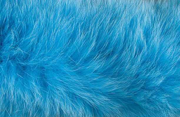 Abstract design of artificial blue fur moving in the wind stock photo