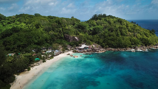 istock Tropical Beach with in Seychelles and Palm trees 1210496614