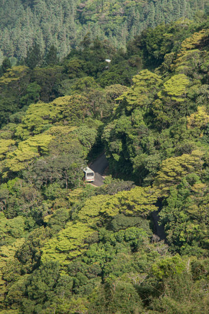 Drone view of a bus parked on a rural asphalt road in middle of a thick green jungle at Riverston National Forest Reserve, Matale, Sri Lanka. stock photo