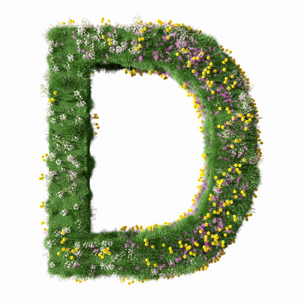 istock Flower meadow on letter D 1210500392