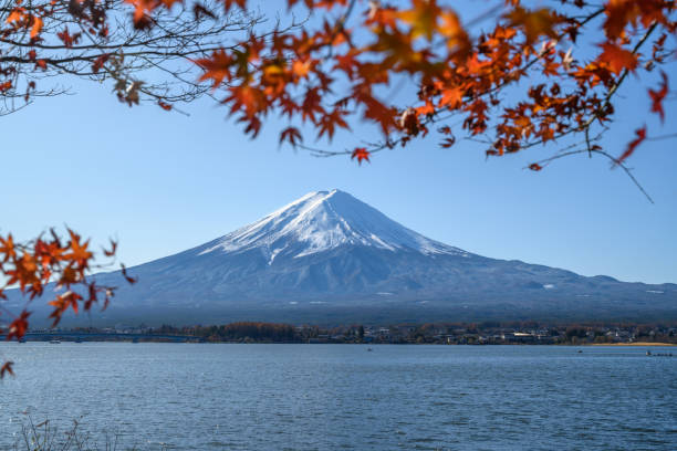 istock Autumn in Mount Fuji, Japan 1210507760