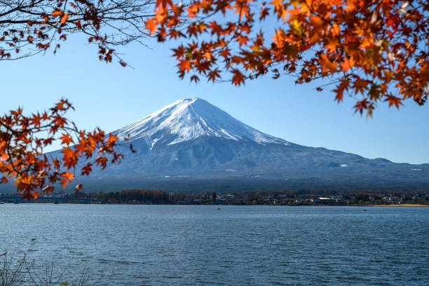 istock Autumn in Mount Fuji, Japan 1210507786