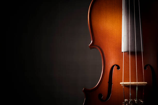 istock Beautiful antique violin on black background 1210508135
