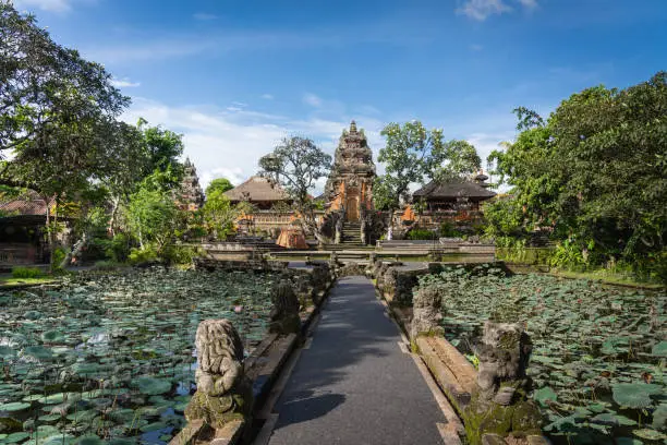 Photo of Pura Taman Saraswati Temple in Ubud, Indonesia