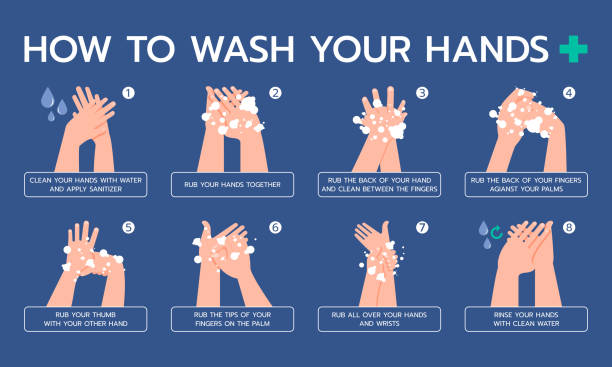 ilustrações de stock, clip art, desenhos animados e ícones de infographic illustration about how to properly wash your hands, hygienic, prevent virus. flat design - washing hands illustrations