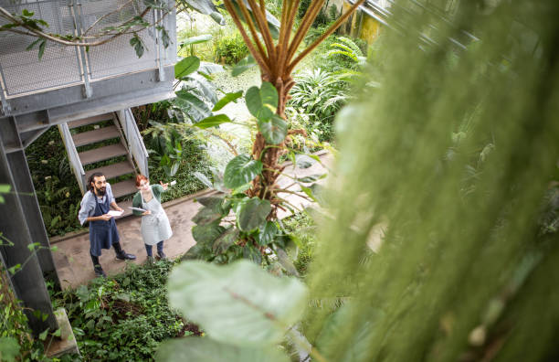 istock Two People working at the botanical garden 1210515563
