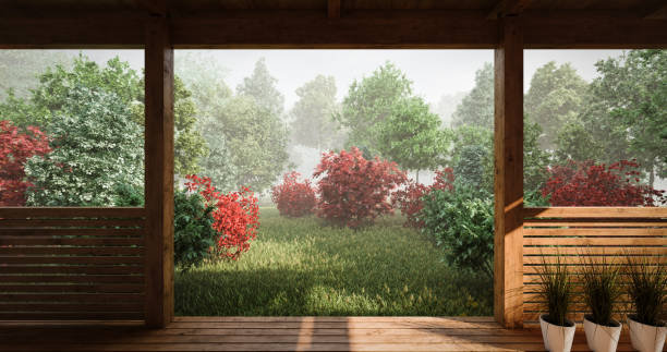 istock Foggy Garden Scene 1210516846